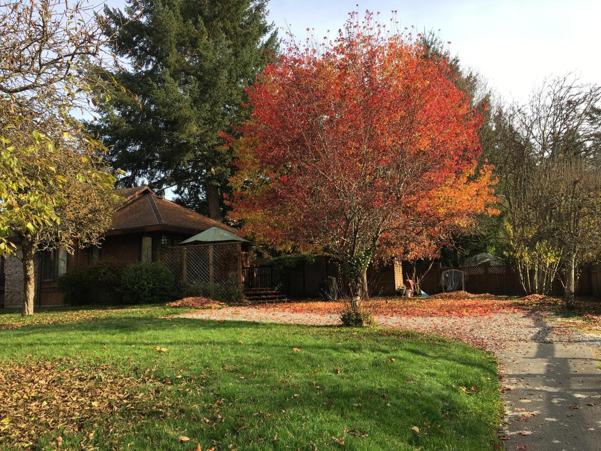 Coles Bay Vacation Retreat Vila North Saanich Exterior foto